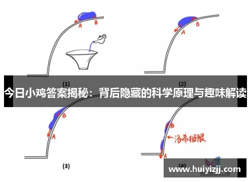 今日小鸡答案揭秘：背后隐藏的科学原理与趣味解读